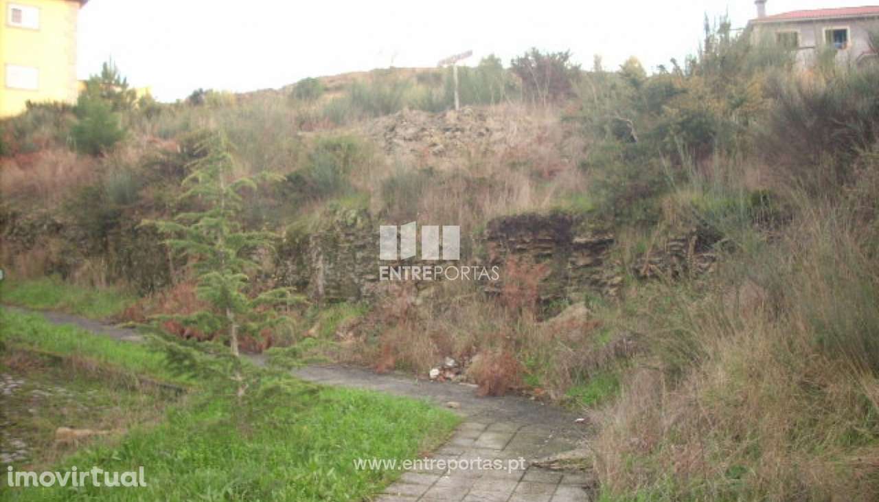 Venda Terreno, Gove, Baião - Grande imagem: 3/12