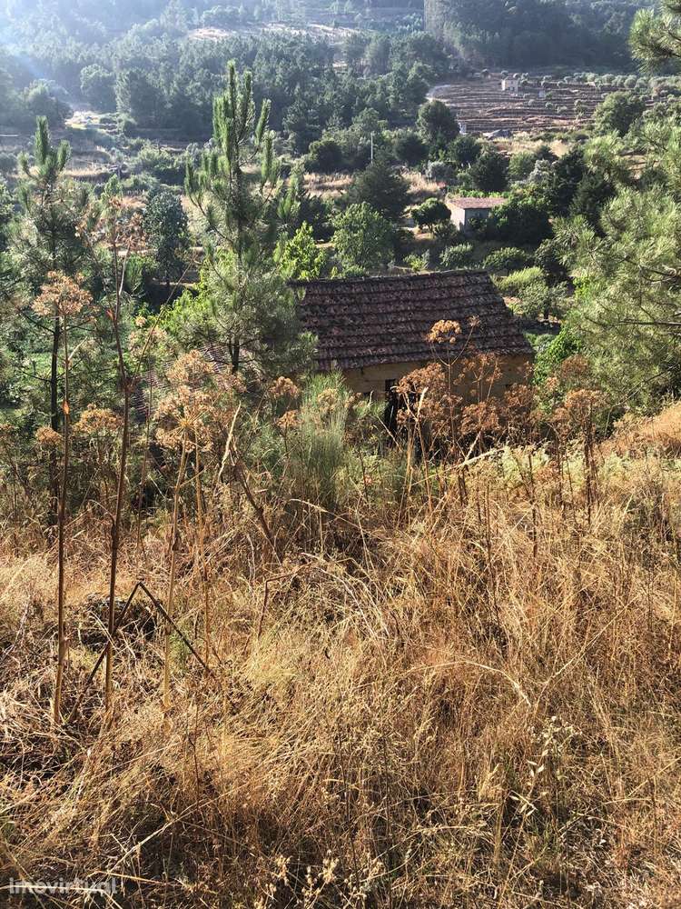 Excelente Quinta na Beira Alta com cerca de 2 Hectares - Grande imagem: 2/15
