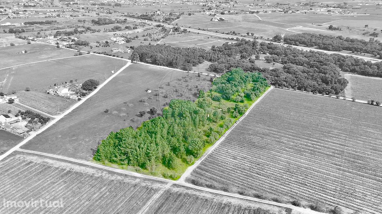 Terreno  para venda - Grande imagem: 2/6