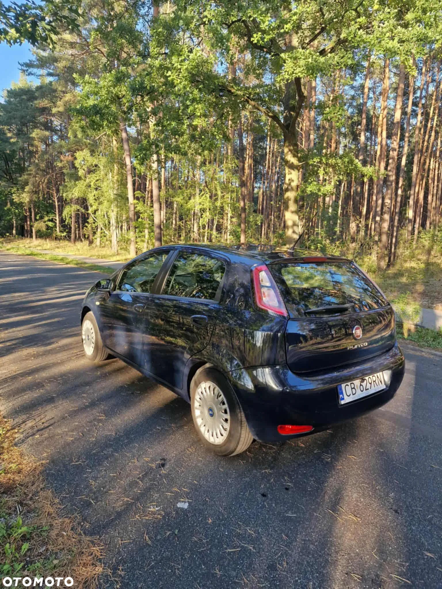 Fiat Punto 1.4 Easy S&S - 2