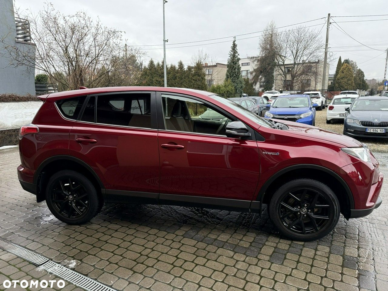Toyota RAV4 2.5 4x2 Hybrid Edition - 5