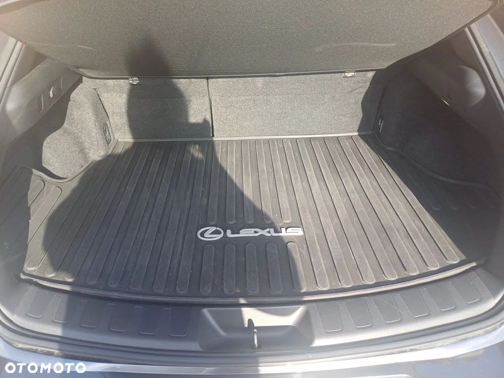 Lexus UX 250h GPF F Sport 2WD - 12