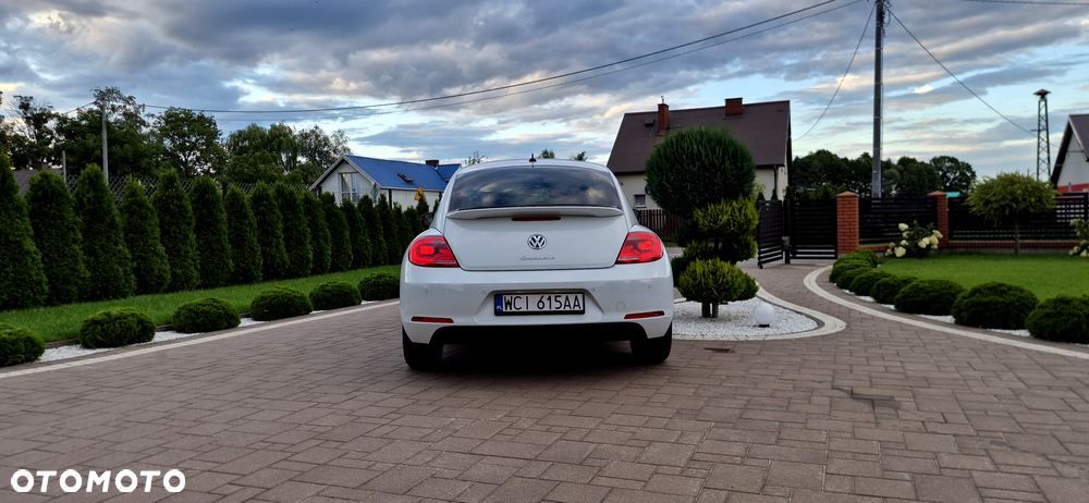 Volkswagen Beetle - 14
