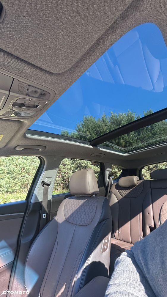 Hyundai Santa Fe 2.0 CRDi Platinum 4WD - 6