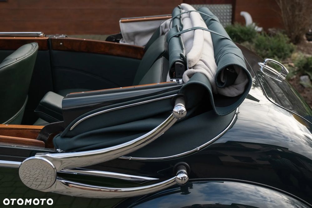 Jaguar Inny - 17