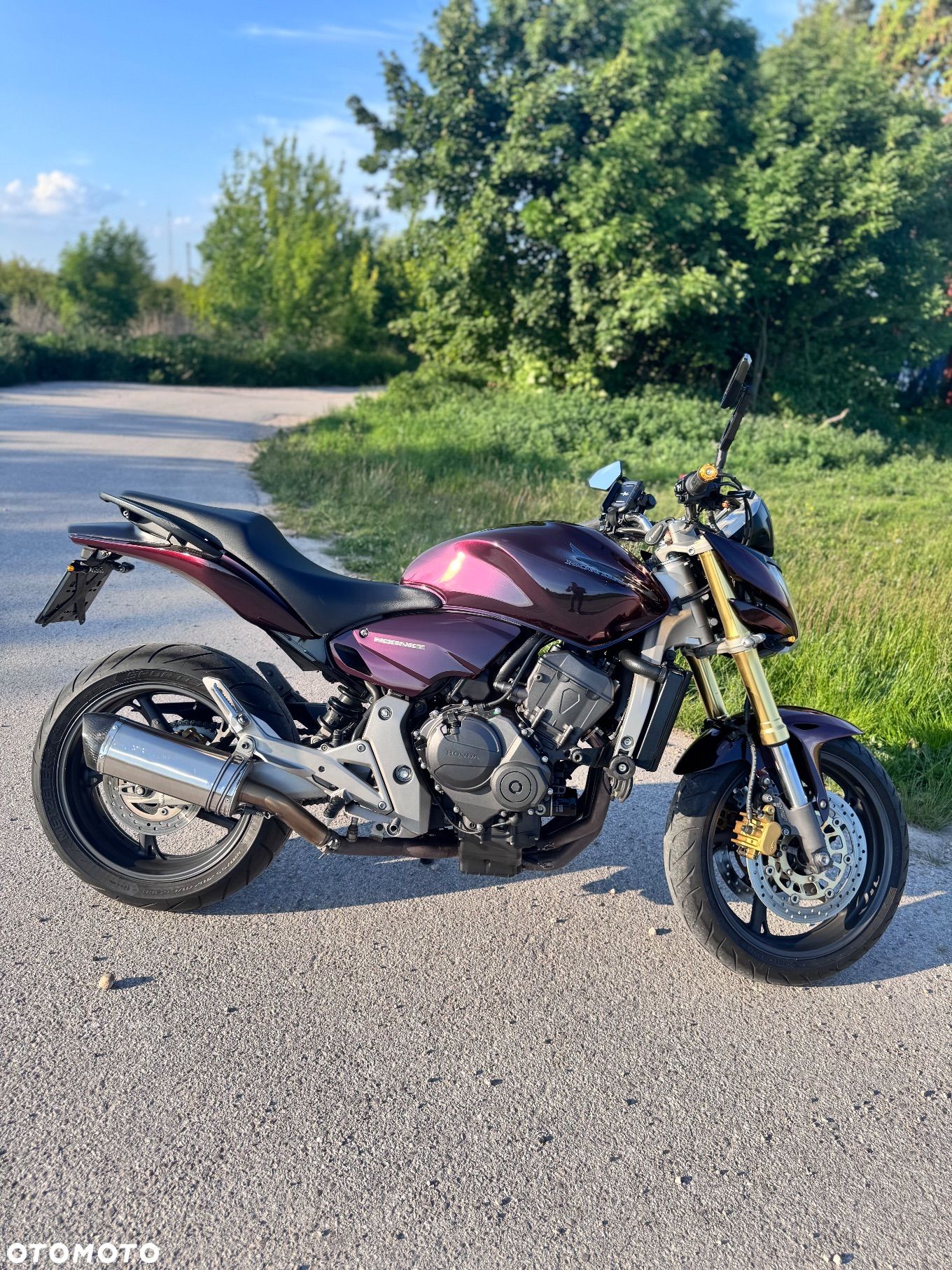 Honda Hornet - 1