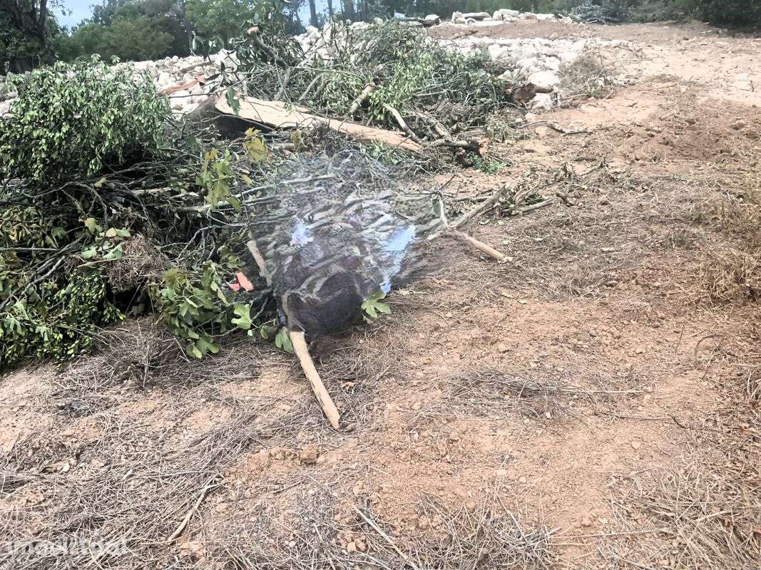 Terreno  para venda - Grande imagem: 3/12