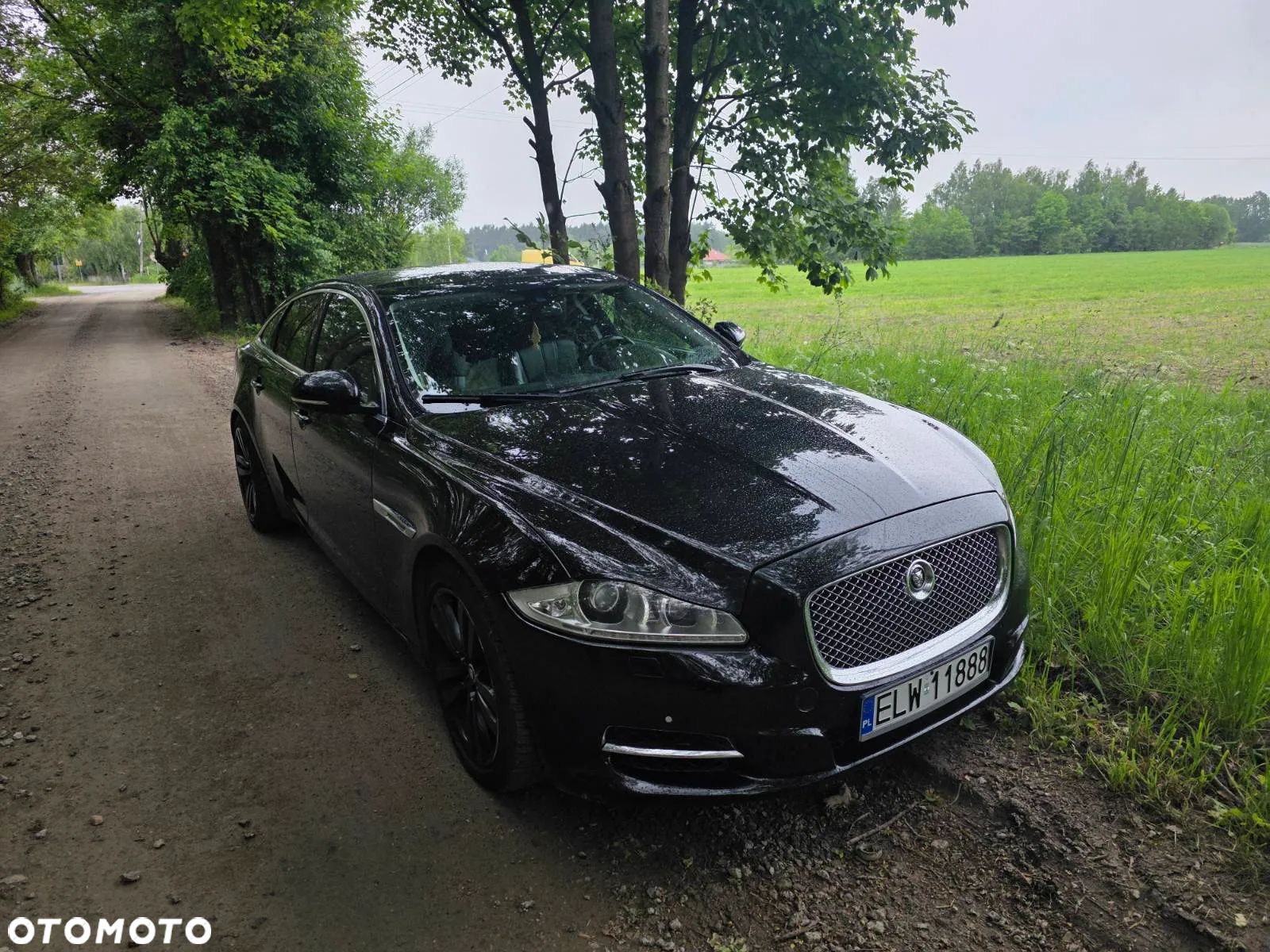 Jaguar XJ 3.0 D V6 LWB Premium Luxury - 1