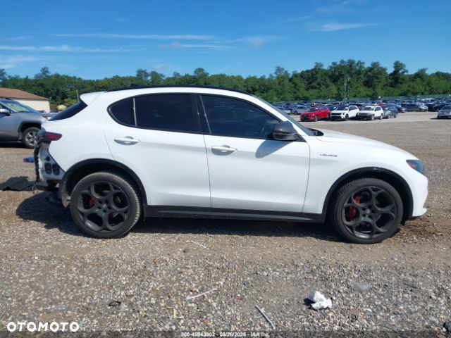 Alfa Romeo Stelvio 2.0 Turbo 16V AT8-Q4 Veloce - 12