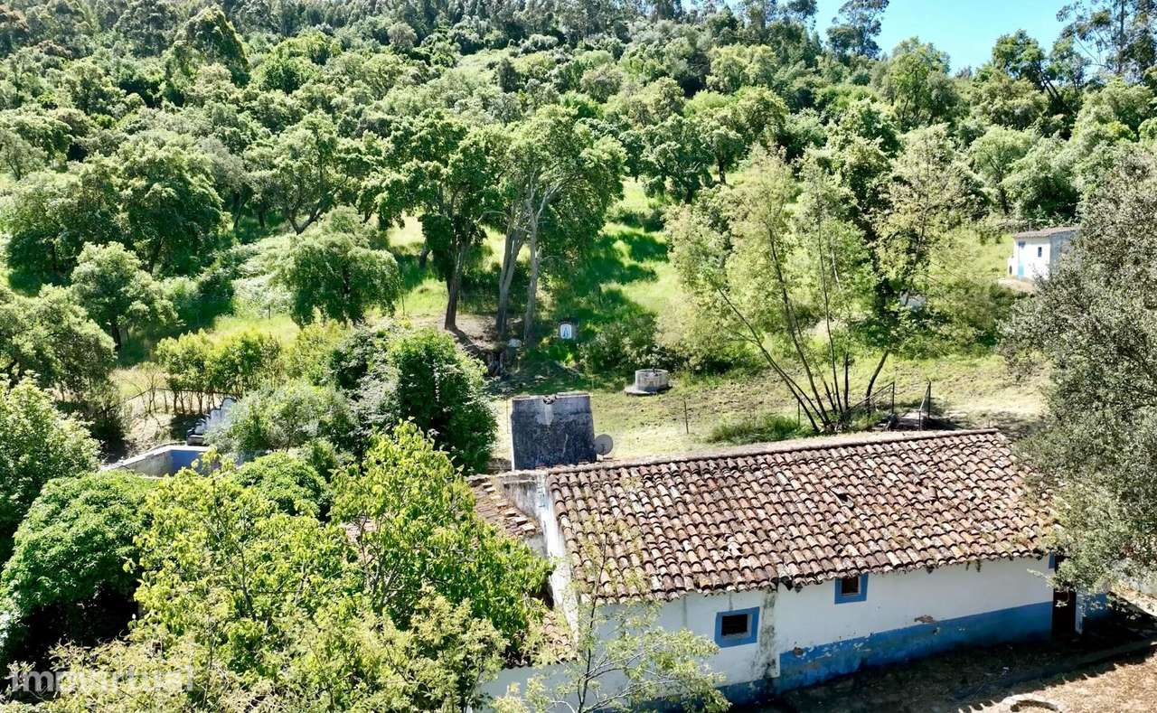 Monte na serena Serra d'Ossa com 11ha e 3 casas rústicas - Grande imagem: 4/18