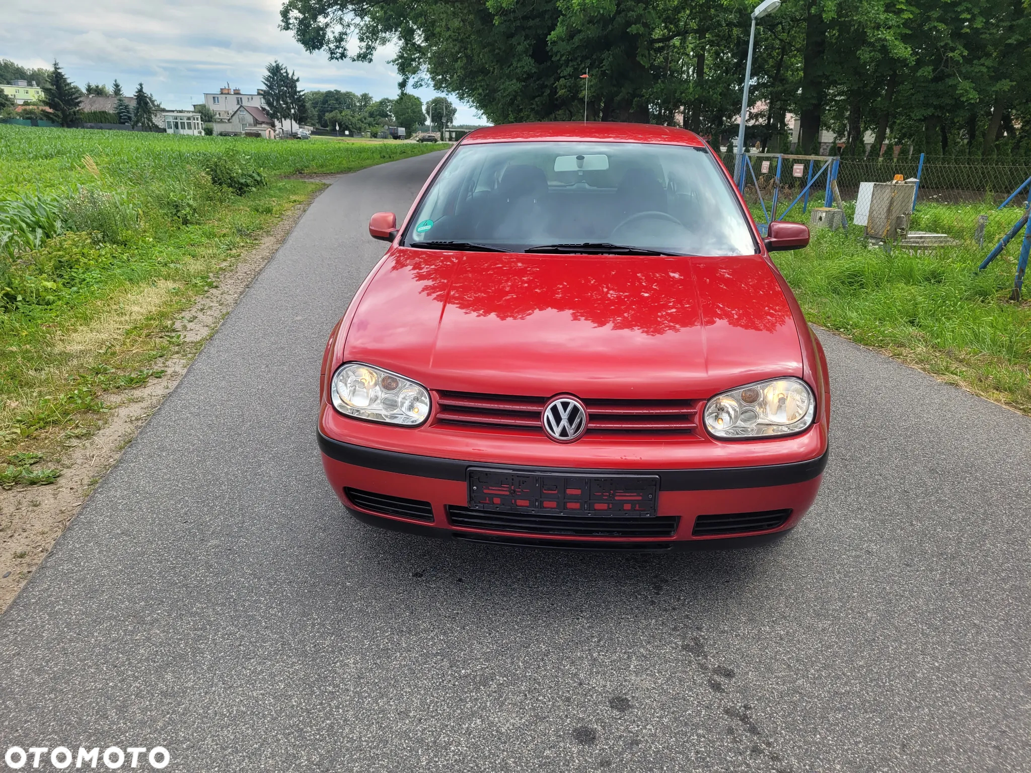 Volkswagen Golf IV 1.4 Trendline - 25