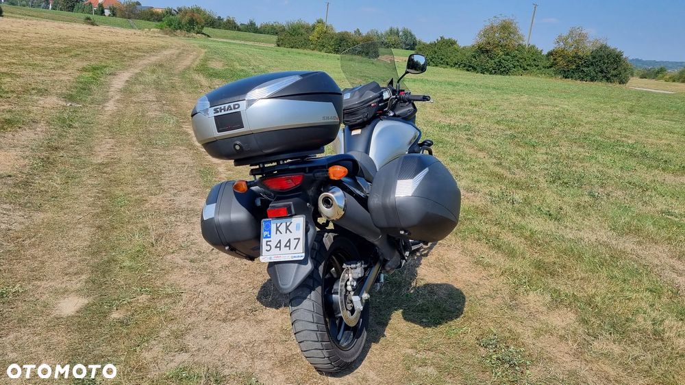 Suzuki DL - 8