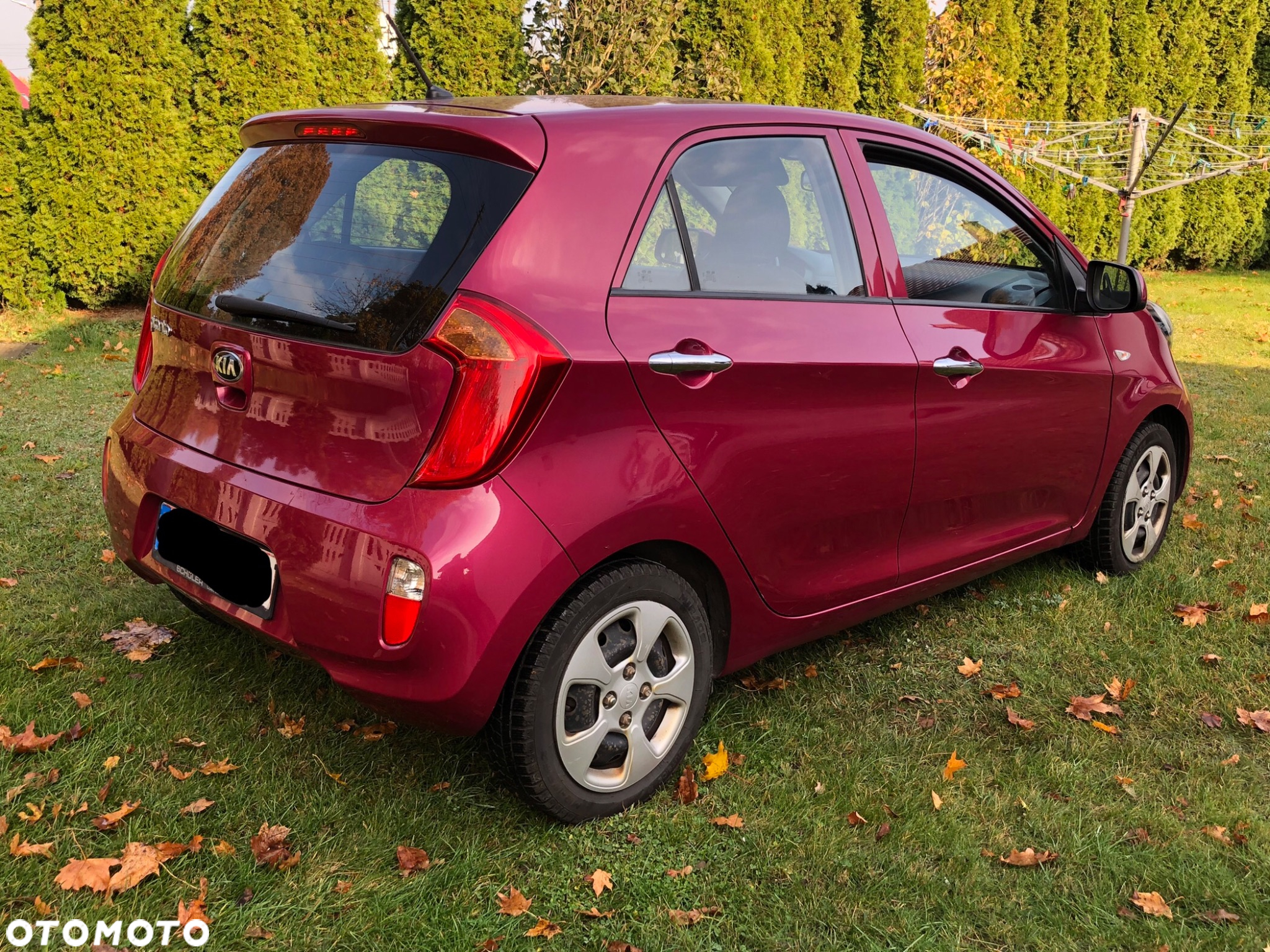 Kia Picanto 1.0 Edition 7 - 3