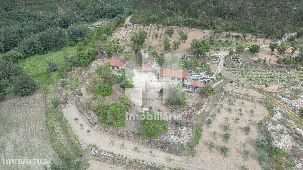 Quinta em Vila nova de poiares - Grande imagem: 3/27