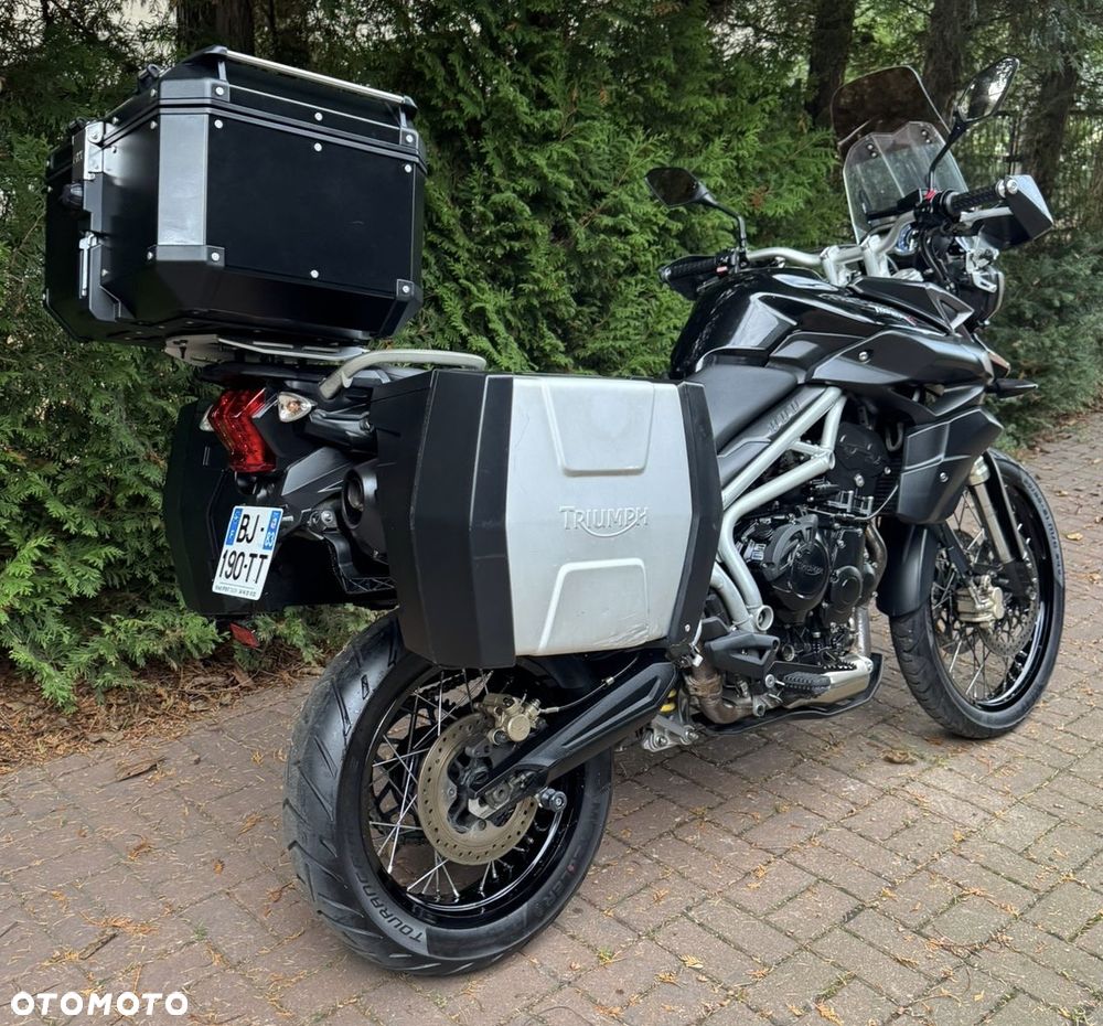 Triumph Tiger - 3
