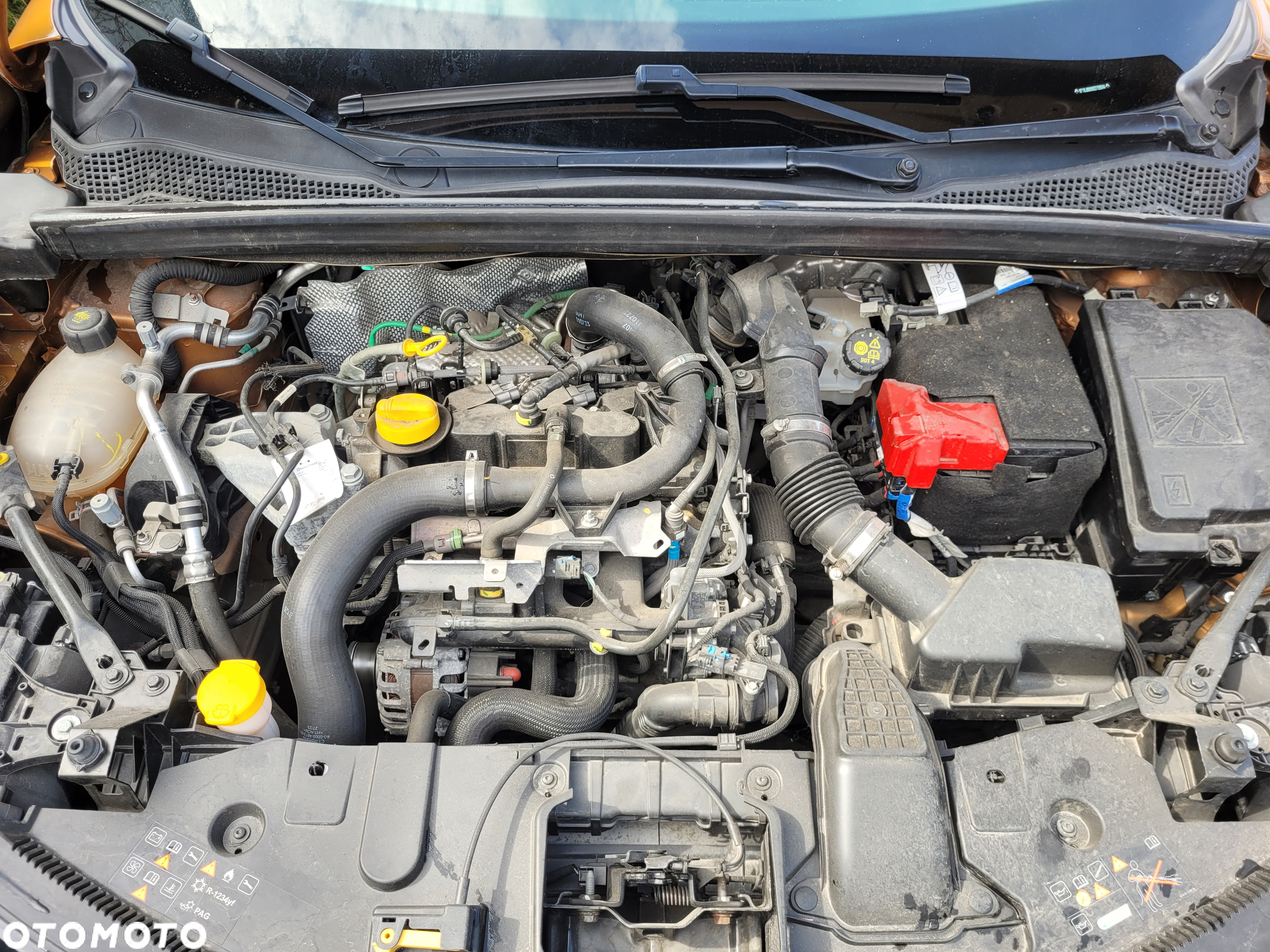 Renault Captur TCe 100 BUSINESS EDITION - 20