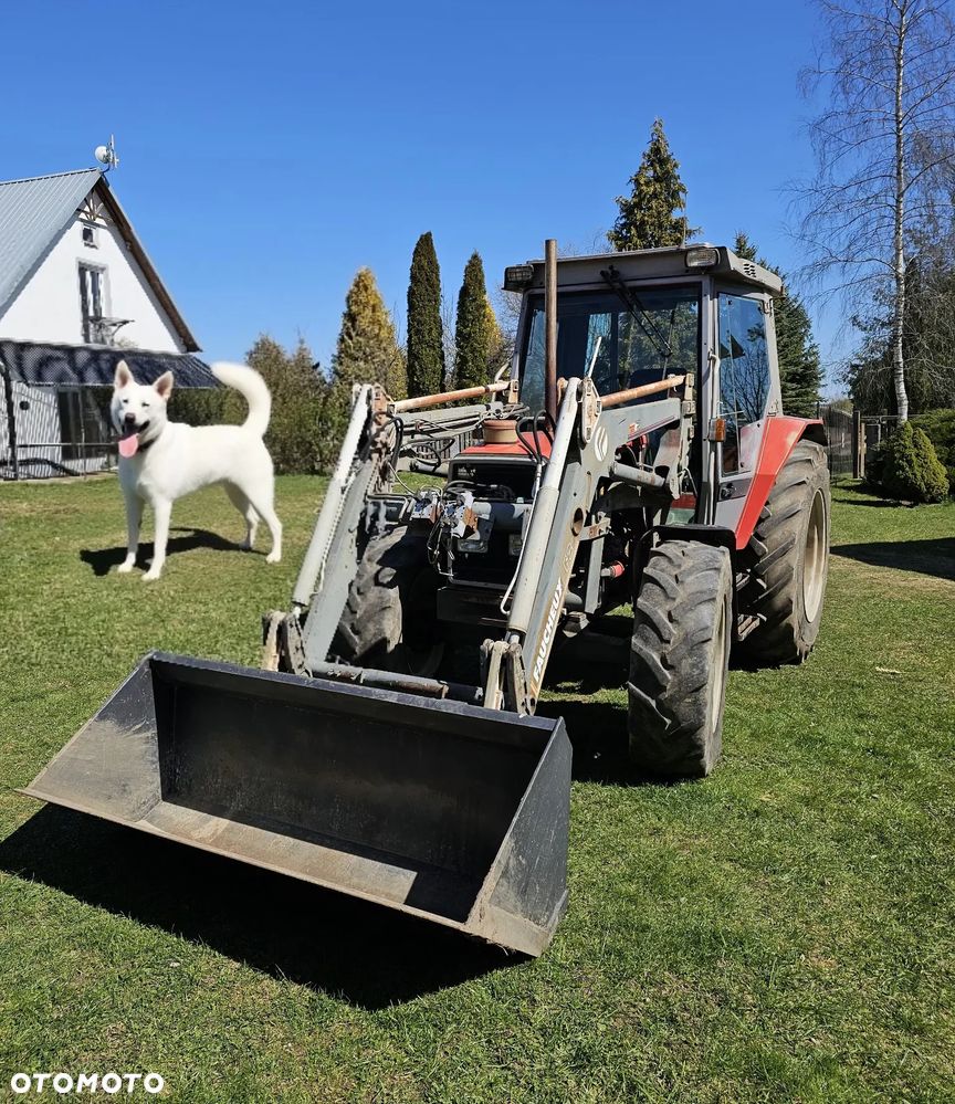 Massey Ferguson MF 3050 - 1