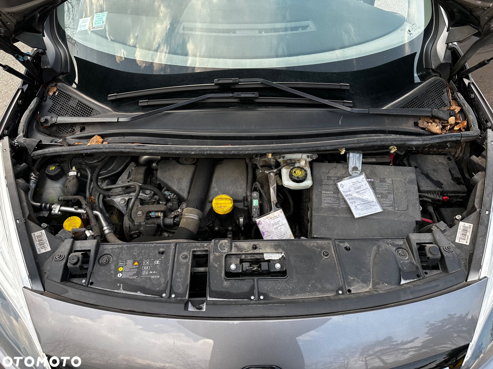 Renault Scenic - 22