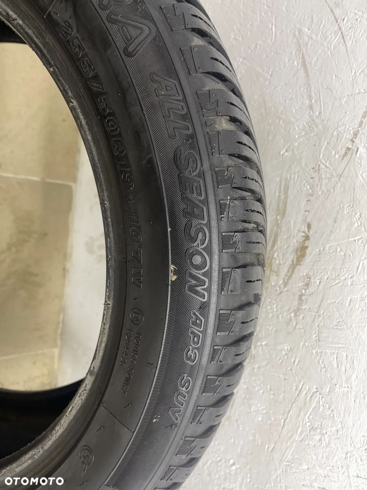 2× Opony 2 szt całoroczna Maxxis Premitra All Season AP3 SUV 255/50R19 107 W wzmocnienie (XL) - 5
