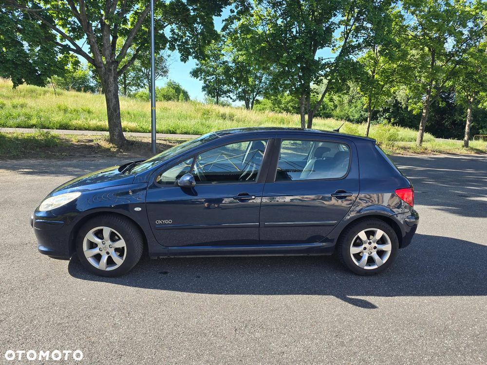 Peugeot 307 1.6 Oxygo - 4