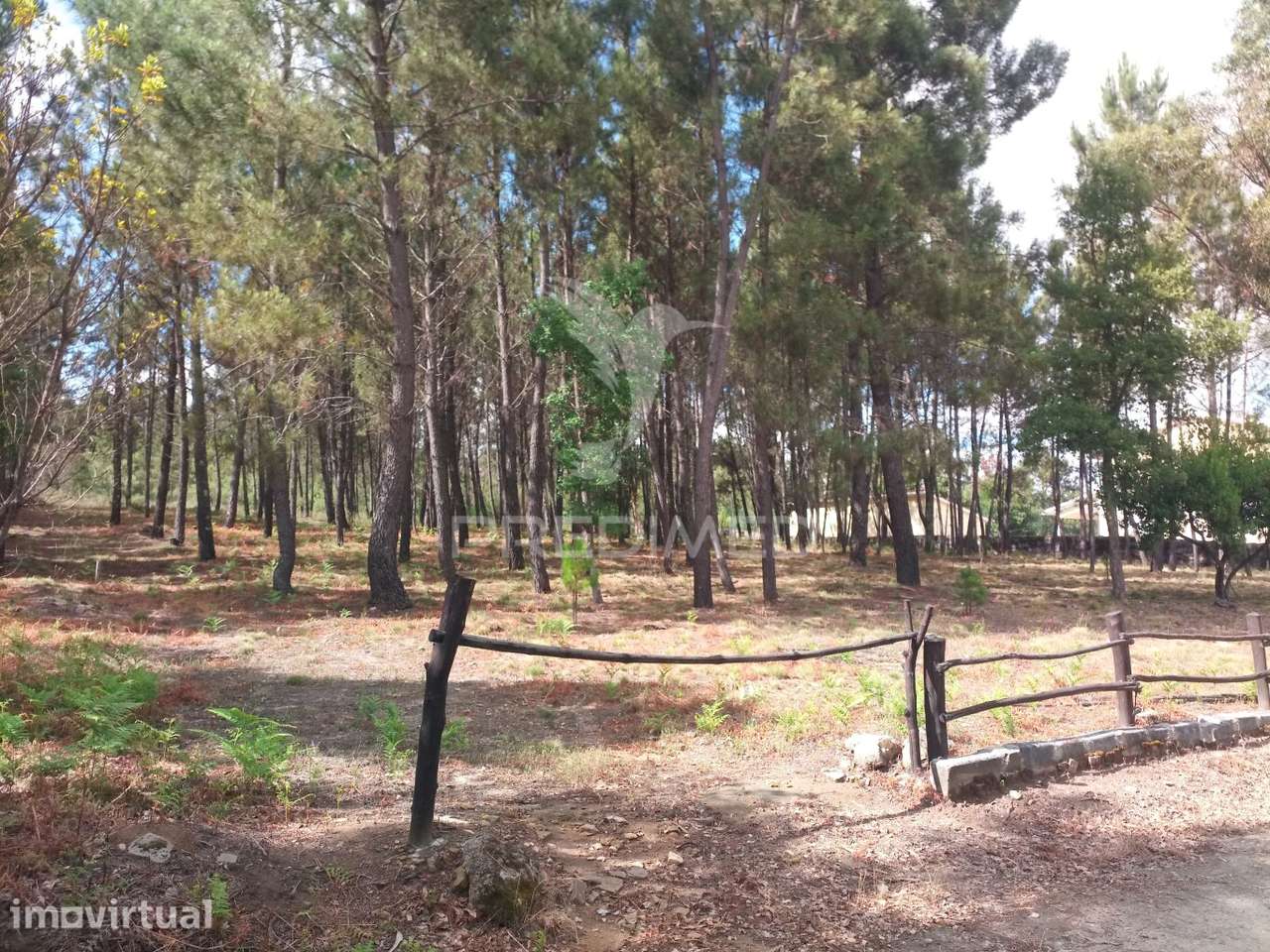 Terreno situado no Monte da Nossa Senhora do Castelo, Mangualde - Grande imagem: 4/12