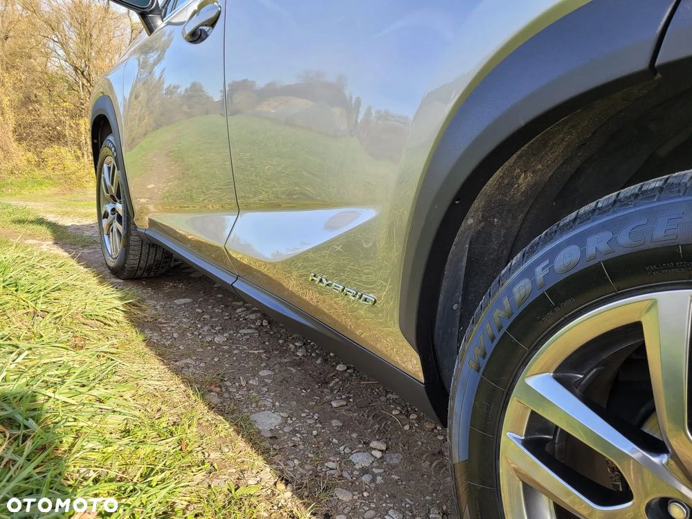 Lexus NX 300h Business Edition - 5