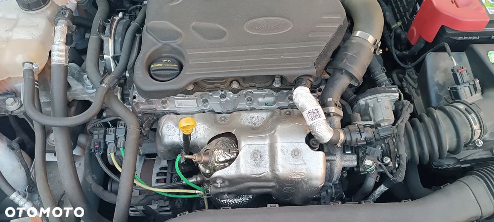 Ford Focus - 33