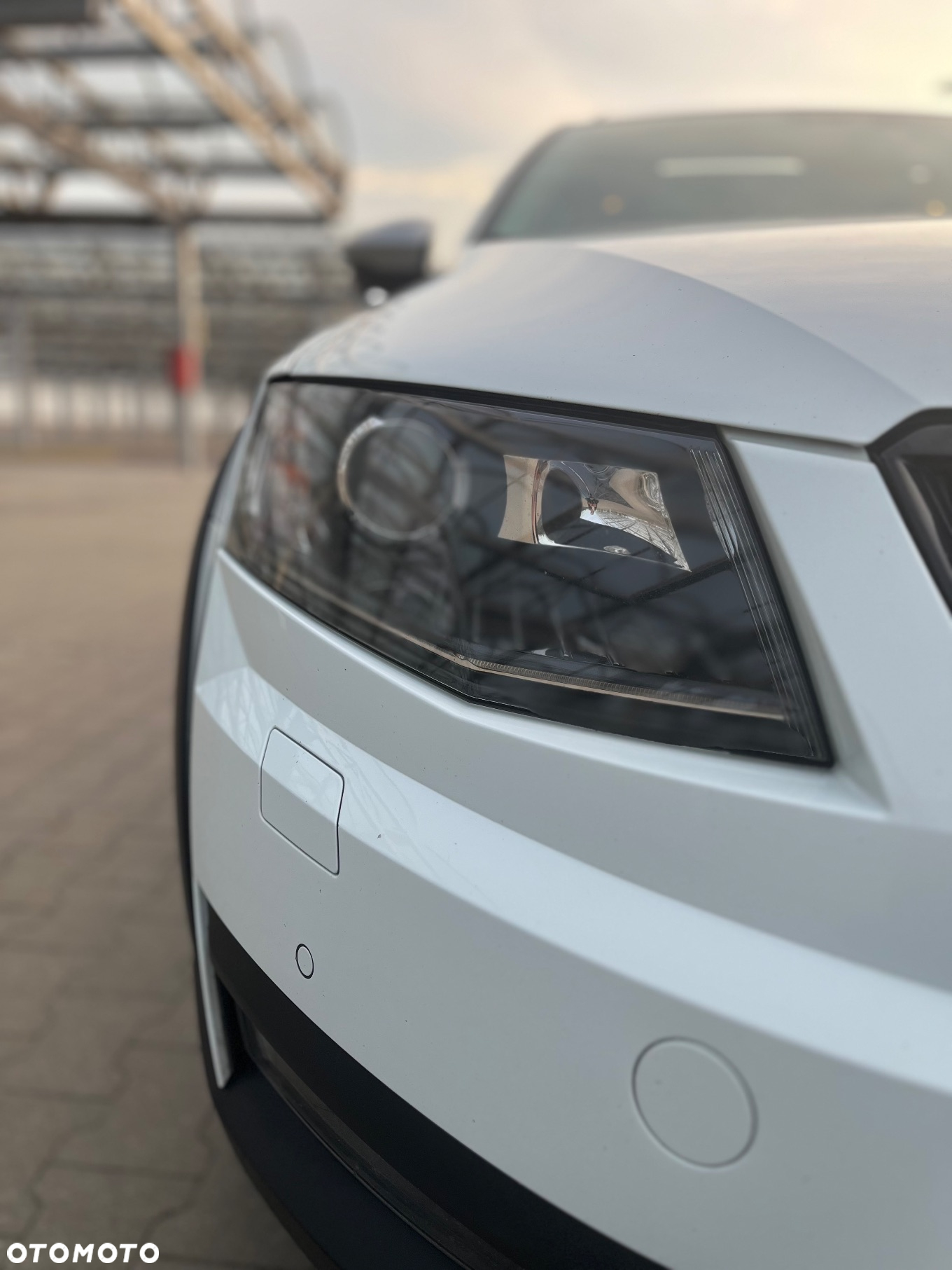 Skoda Octavia Combi 2.0 TDI (Green tec) 4x4 DSG Scout - 8