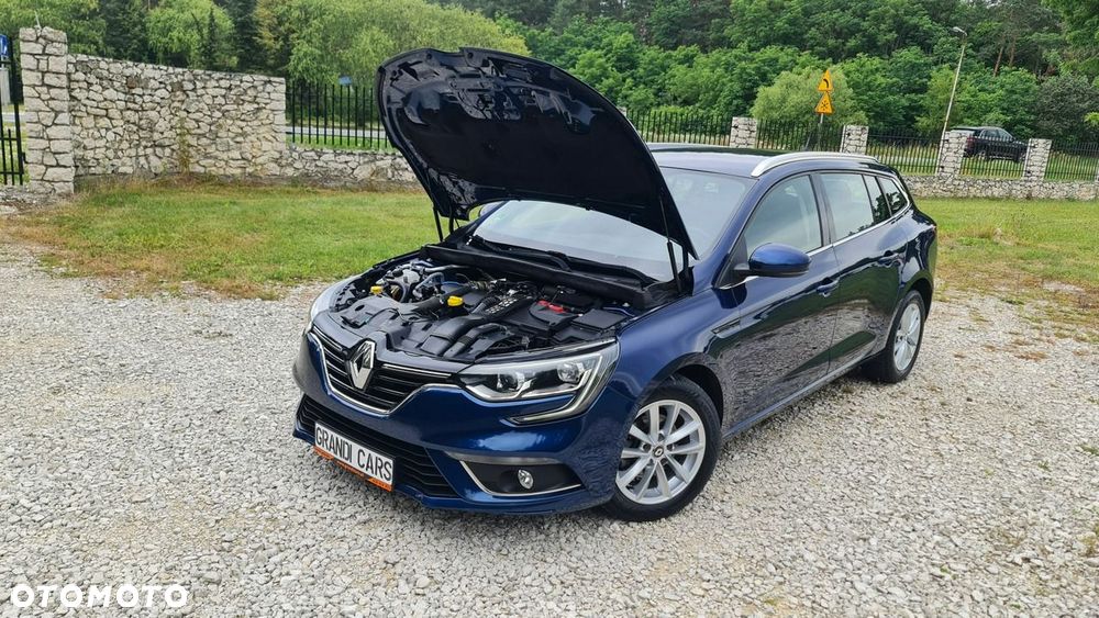 Renault Megane - 29
