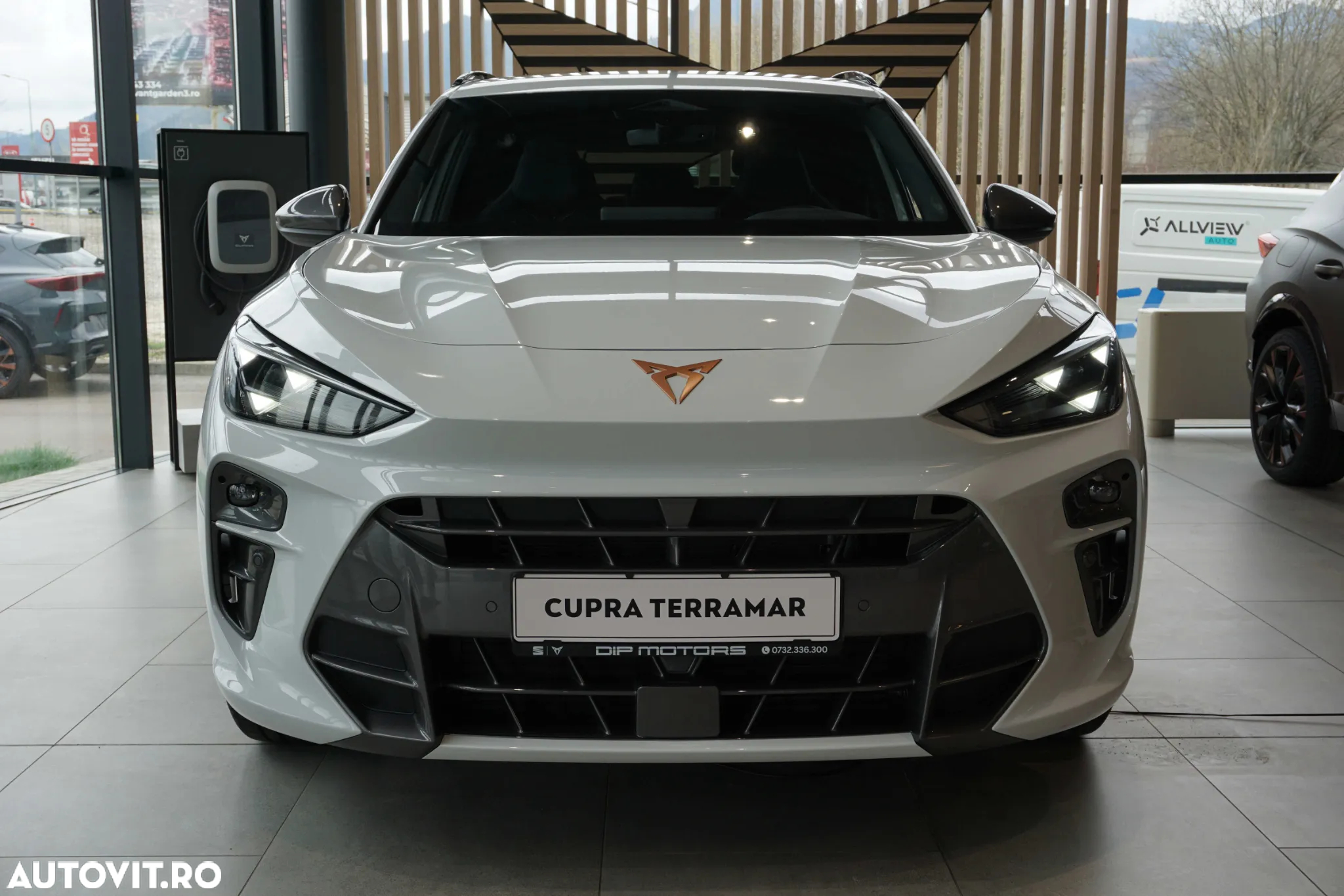 Cupra Terramar - 7