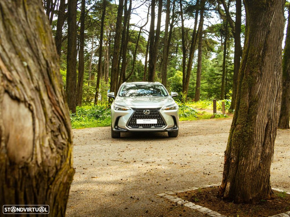 Lexus NX 350h Executive+ - 23