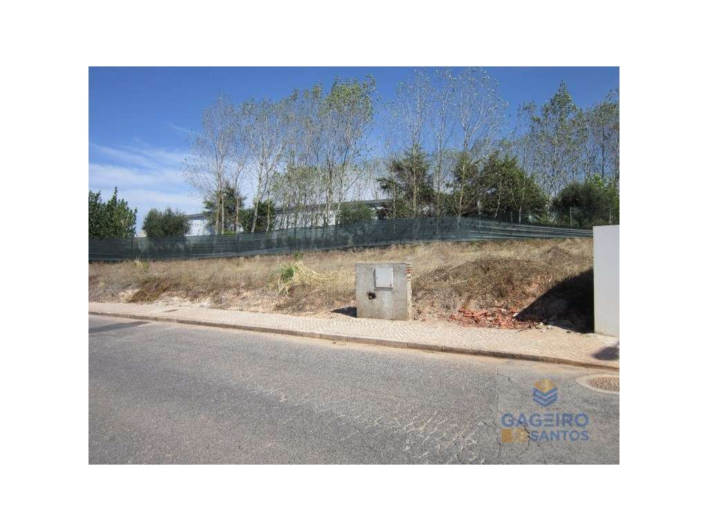 Lote Venda Cadaval - Grande imagem: 2/5