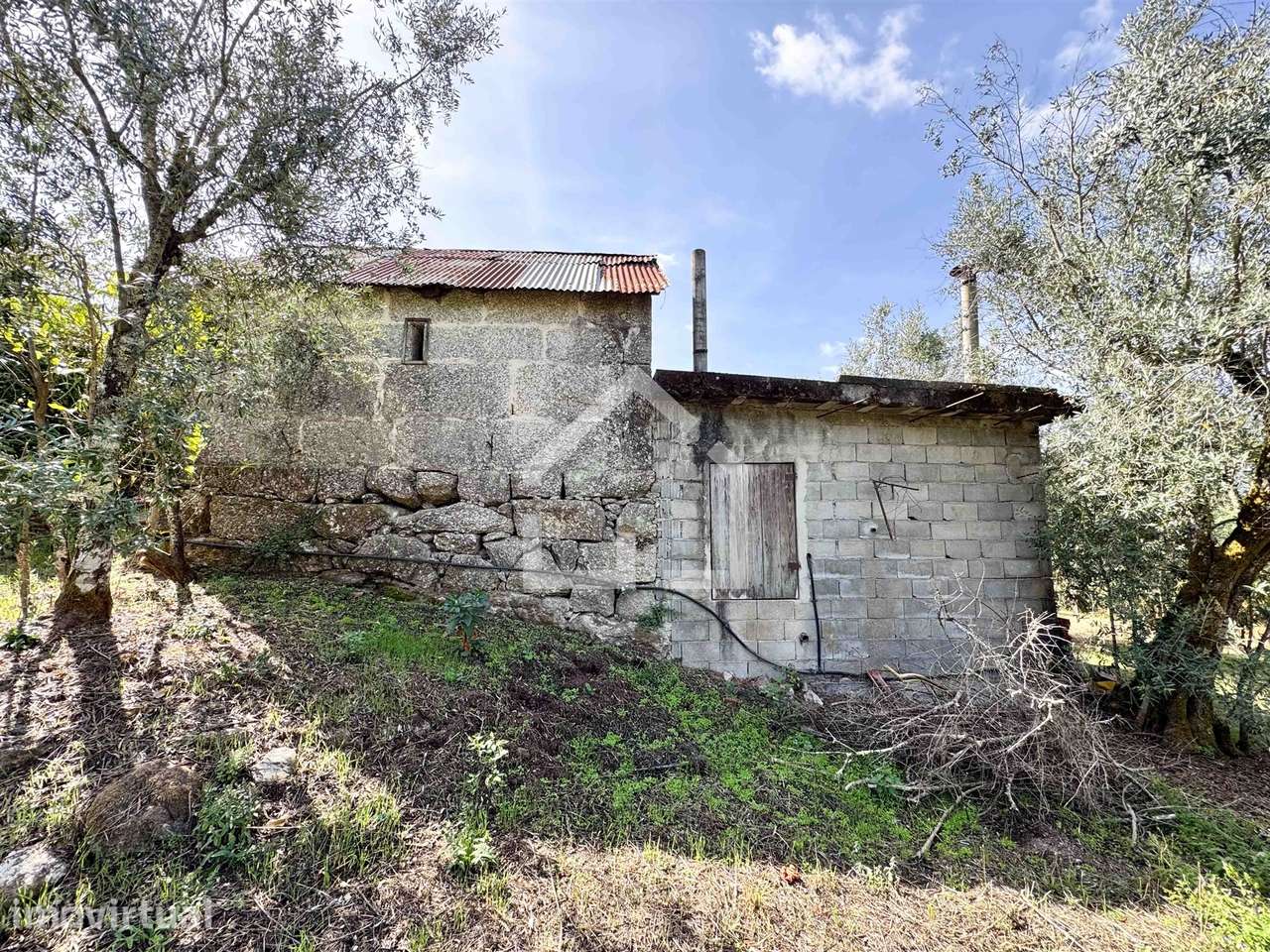 Quintinha com 5.105m2 com casa de Eira! - Grande imagem: 4/17