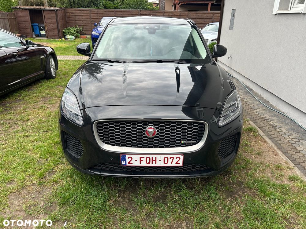 Jaguar E-Pace D150 R-Dynamic S - 1