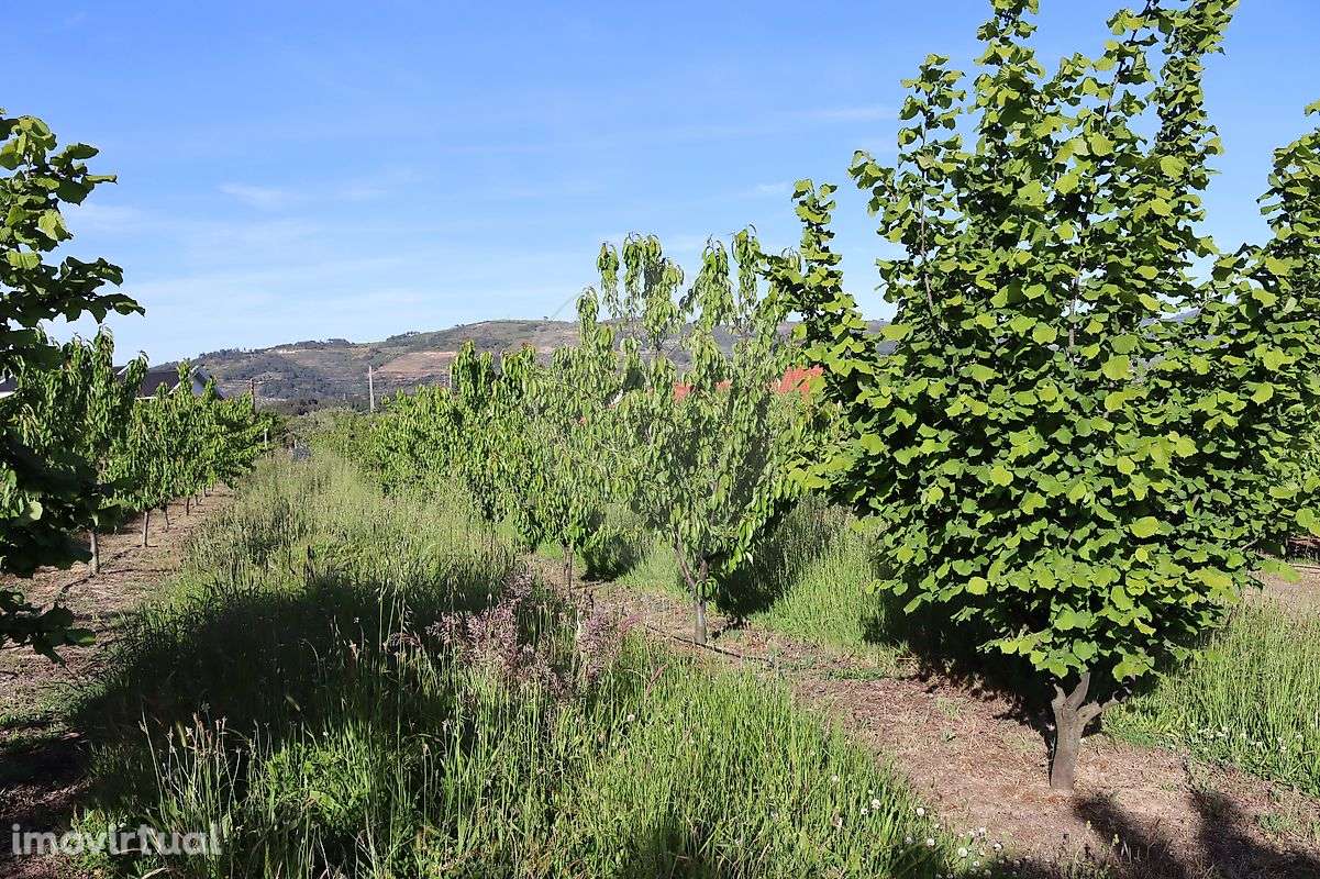 Terreno  para venda - Grande imagem: 4/8