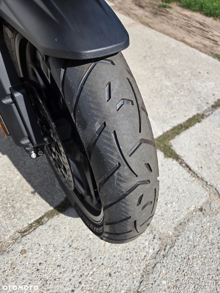Triumph Tiger - 10
