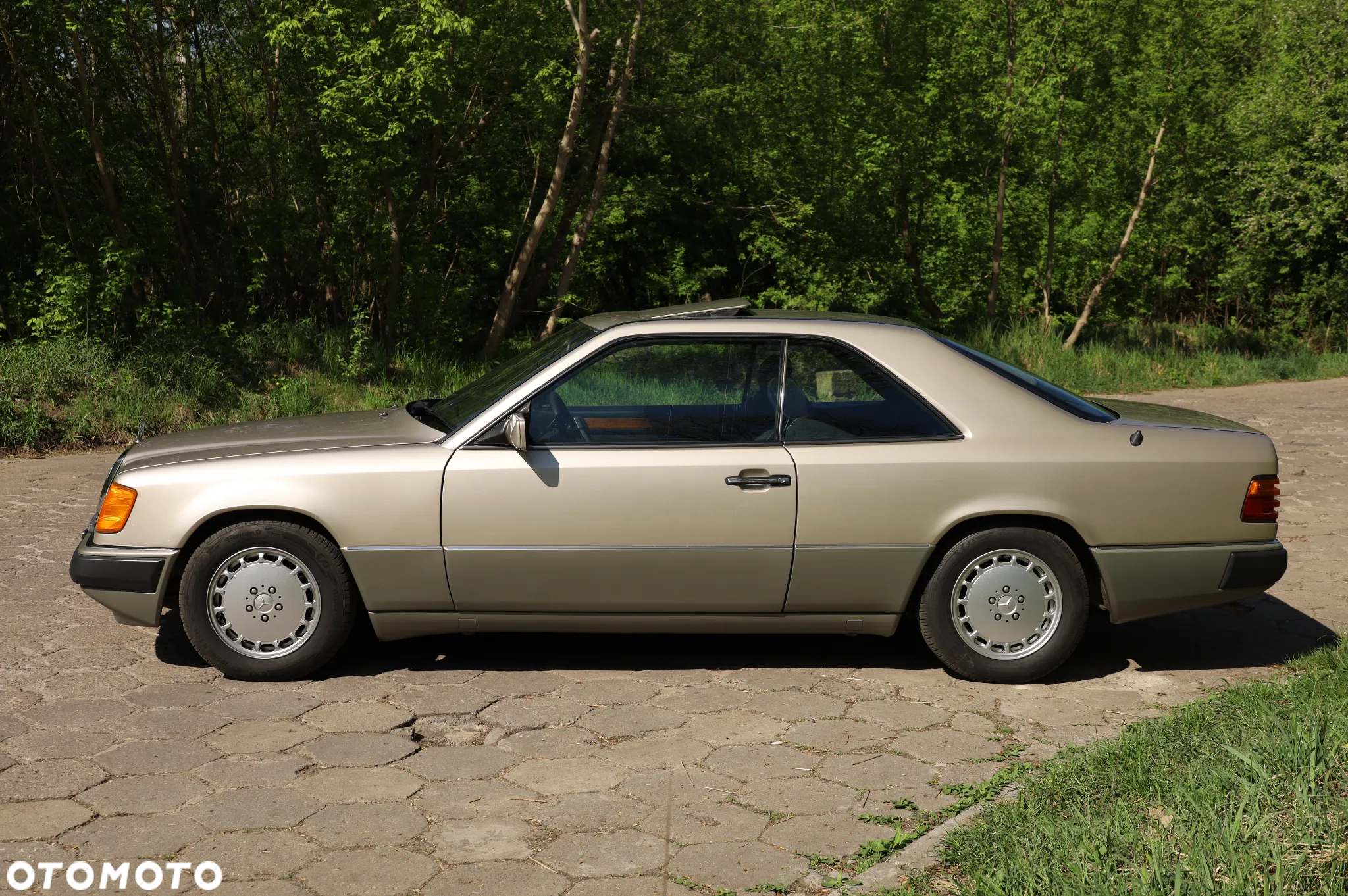 Mercedes-Benz W124 (1984-1993) - 12