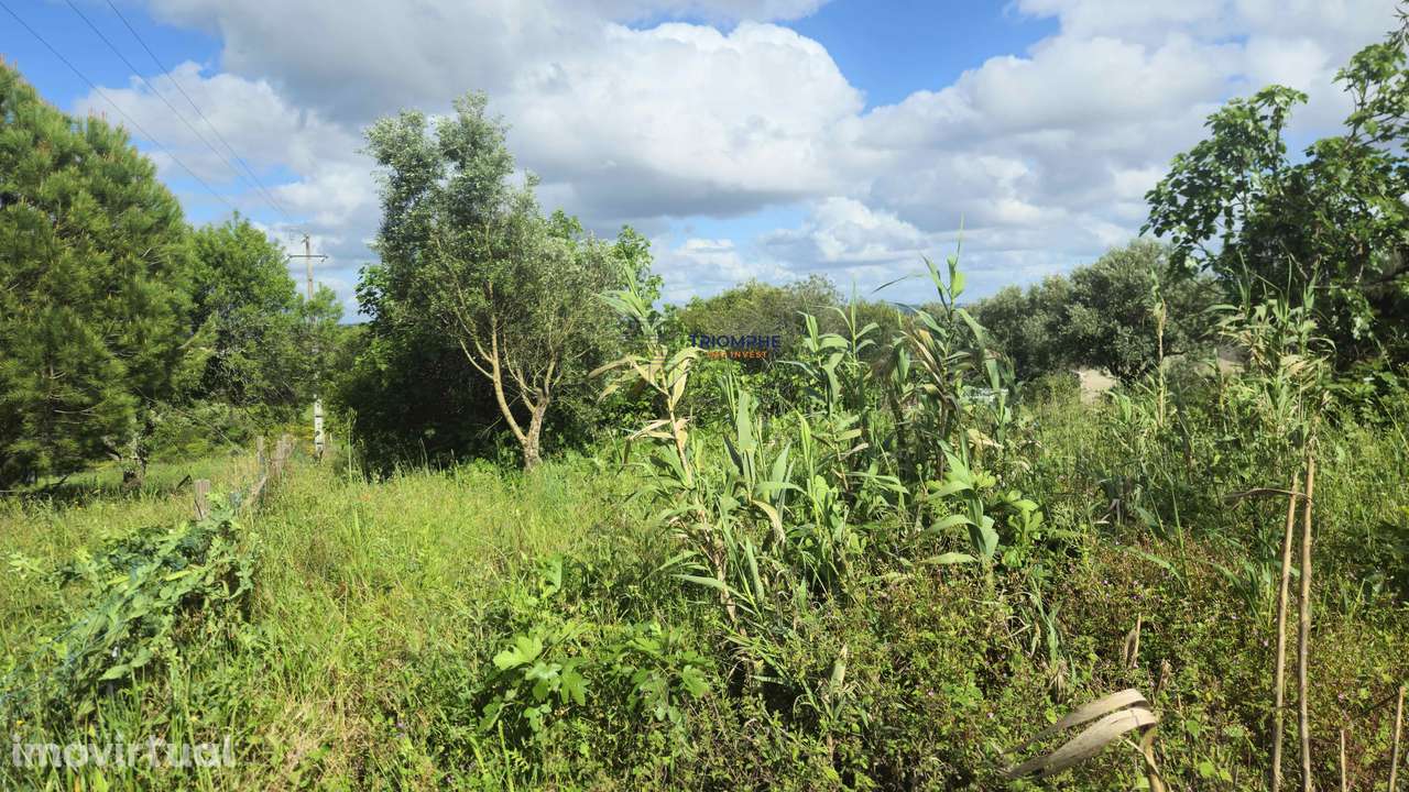 Terreno Rústico Urbanizável, Paialvo, Tomar - Grande imagem: 3/11