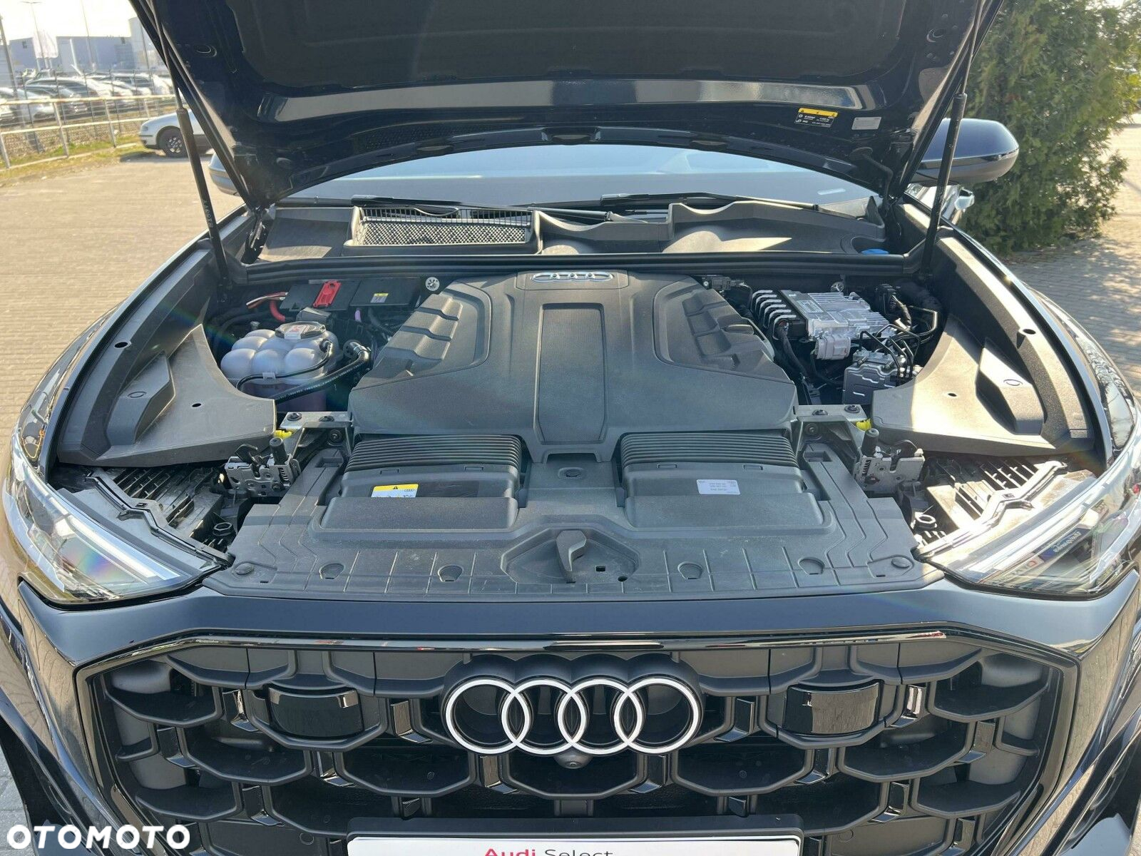 Audi Q8 - 17