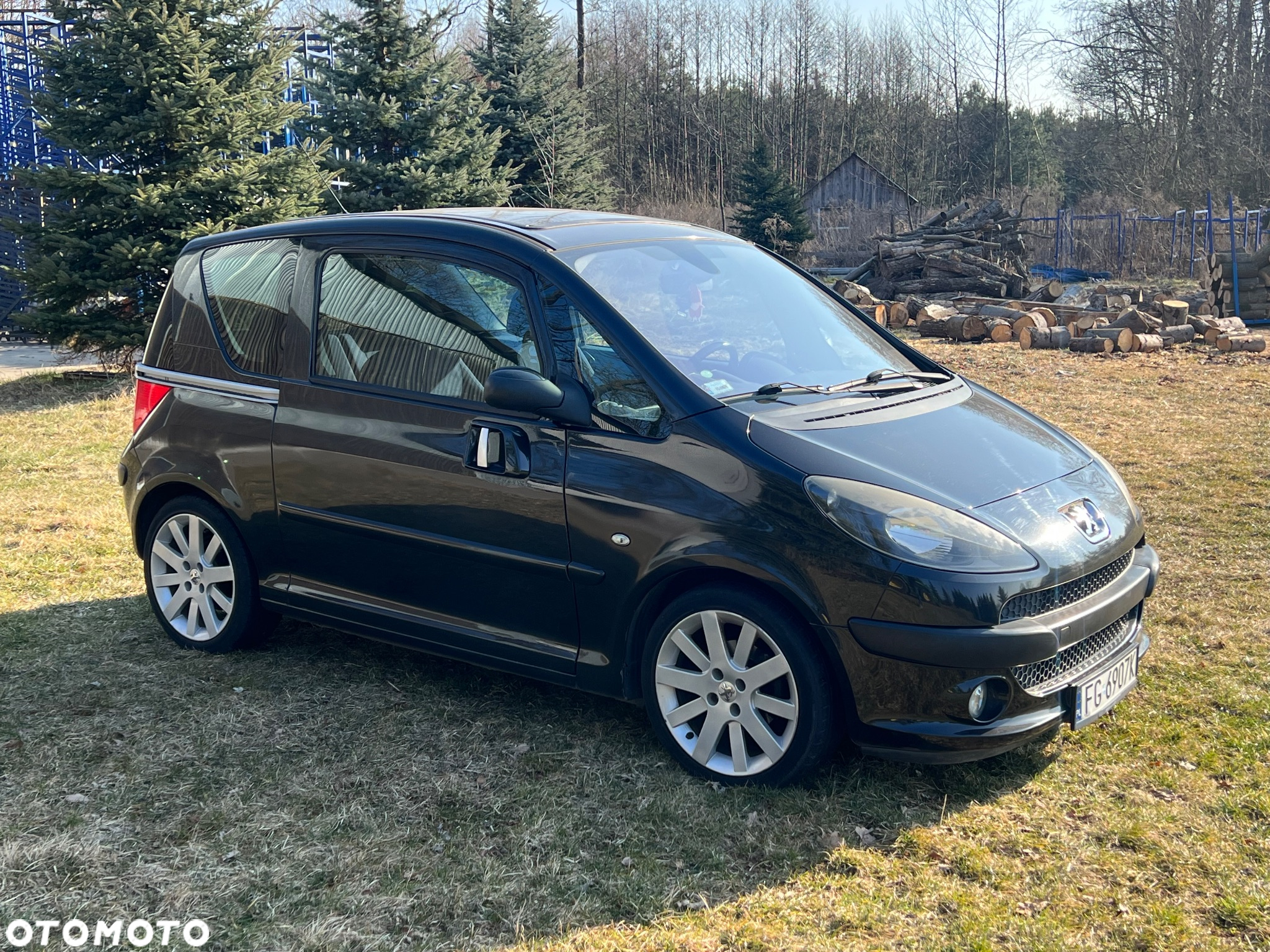 Peugeot 1007 - 3