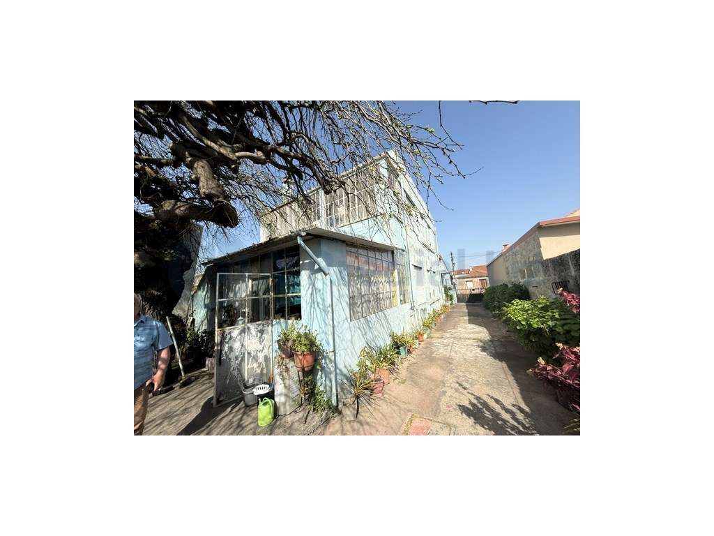 Moradia / Quintinha | 4 frentes | Terreno - Leça do Balio - Grande imagem: 3/15