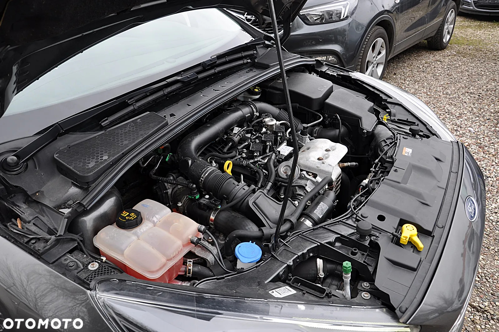 Ford Focus - 26