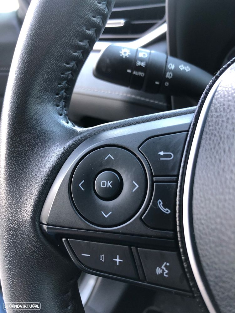 Toyota RAV4 2.5 HDF Exclusive P.Luxury - 37