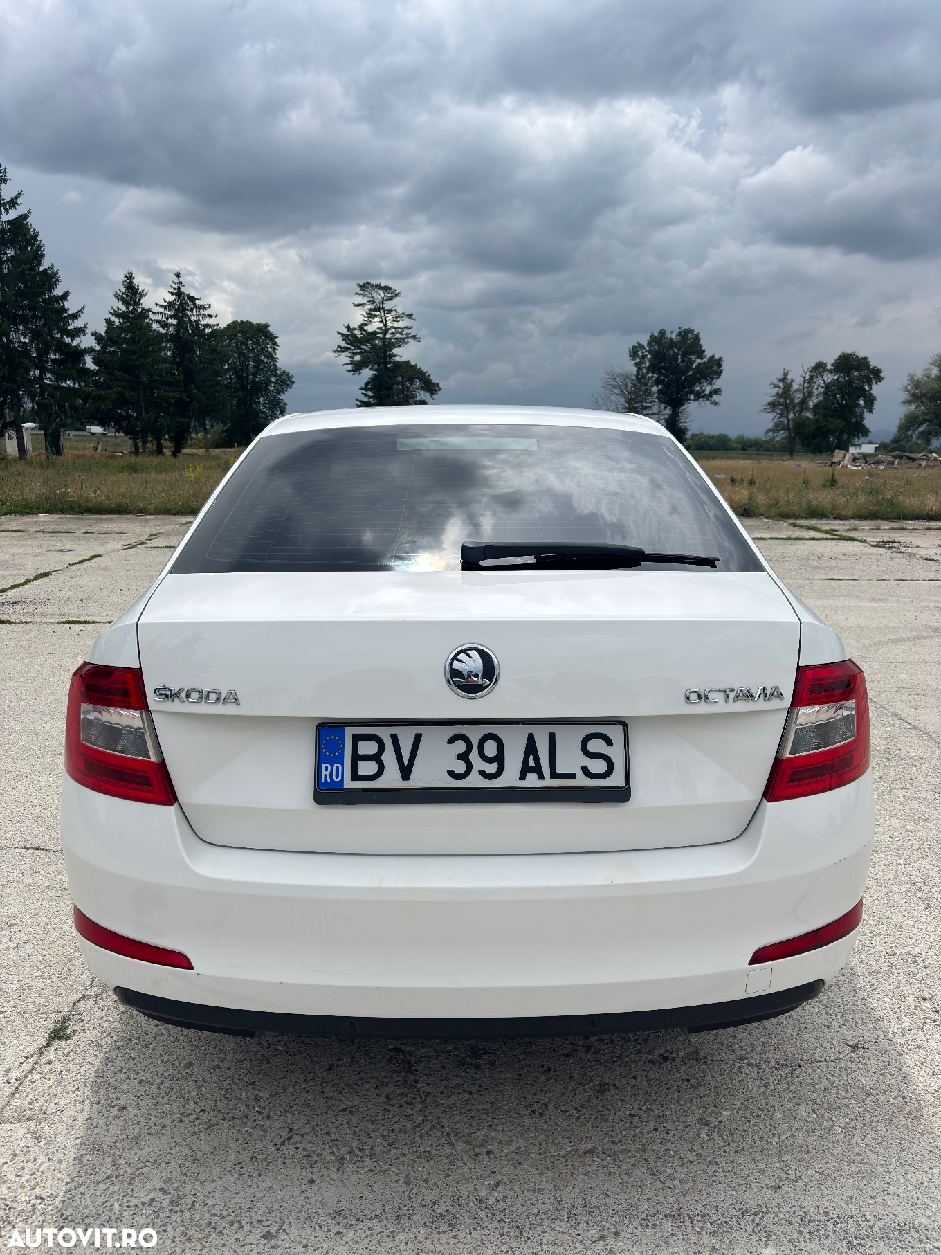 Skoda Octavia 1.6 TDI Ambiente - 3