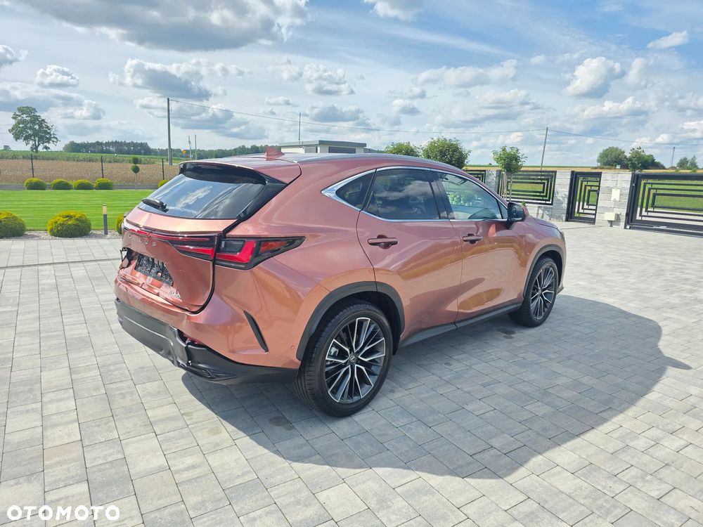 Lexus NX 350h Omotenashi AWD - 3