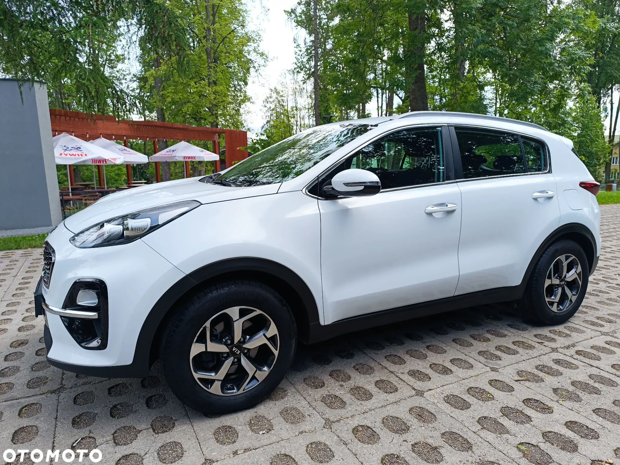 Kia Sportage 1.6 CRDI Black Edition Plus 2WD - 10