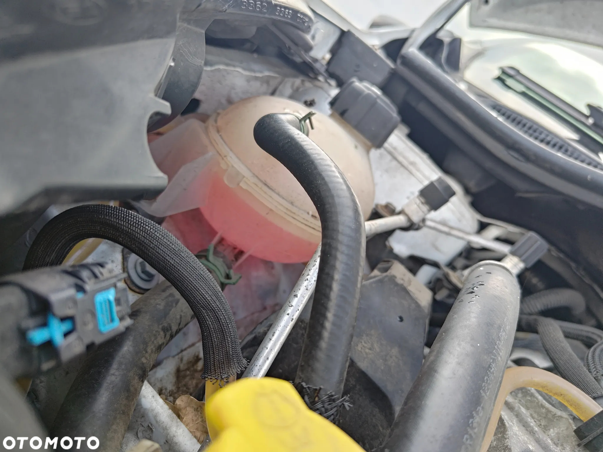 Renault Clio - 22
