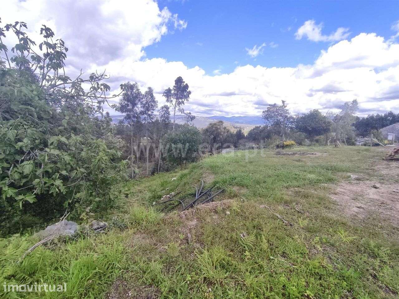 Terreno / Marco de Canaveses, Vila Boa de Quires e Maureles - Grande imagem: 5/5