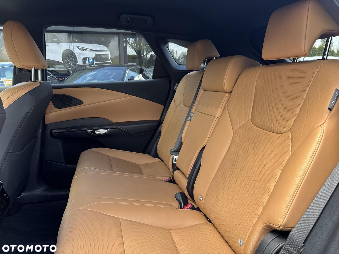 Lexus RX 450h+ F Sport Design - 21