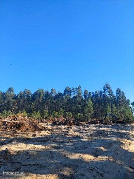 Terreno para venda - Grande imagem: 2/3